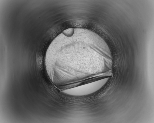 X0000093420646200711091418