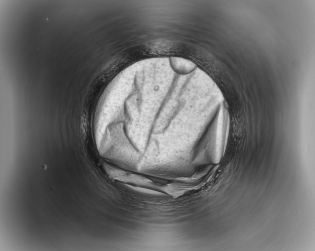 X0000093420648200711091418