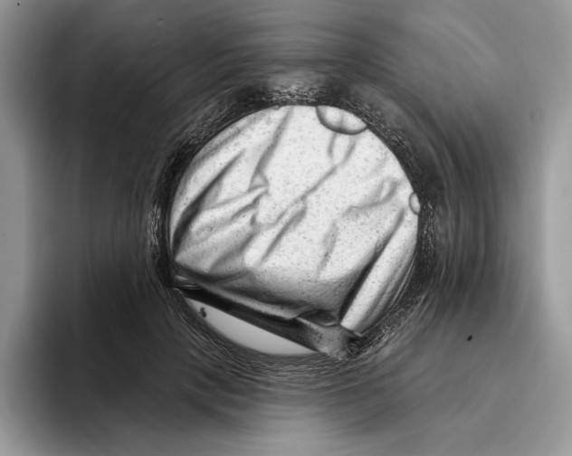 X0000093420649200711091418