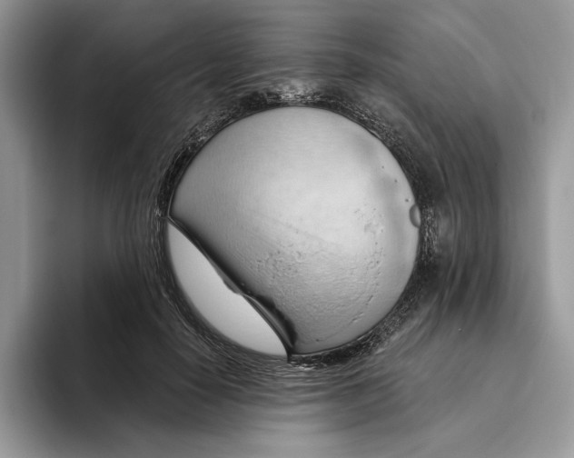 X0000093420650200711091418