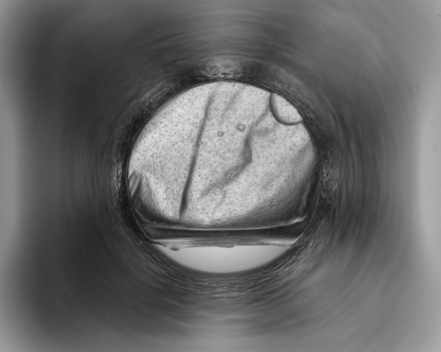 X0000093420652200711091418