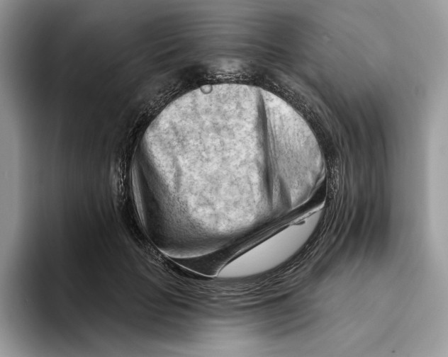 X0000093420653200711091418