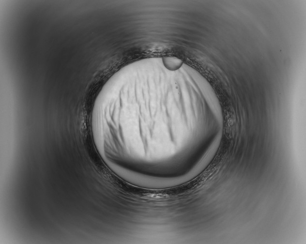 X0000093420654200711091418