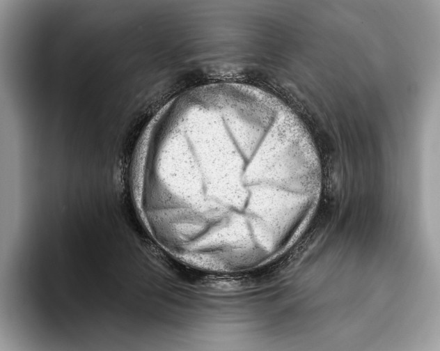 X0000093420658200711091418