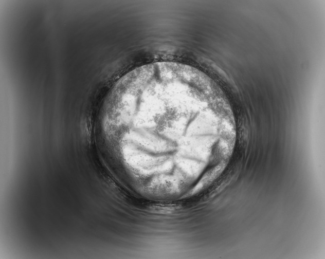 X0000093420661200711091418