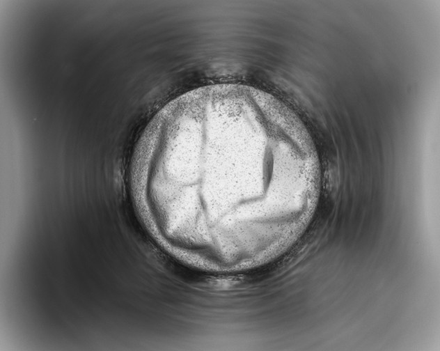 X0000093420662200711091418