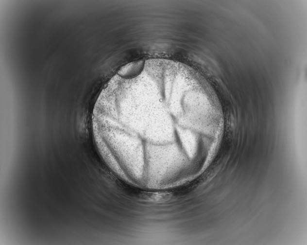 X0000093420663200711091418