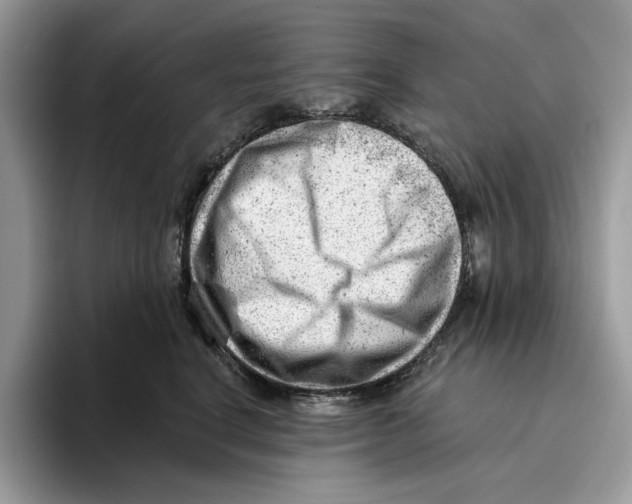 X0000093420664200711091418