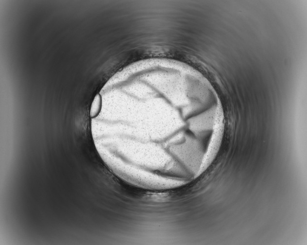 X0000093420665200711091418