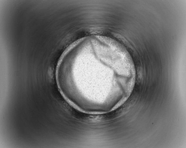 X0000093420667200711091418