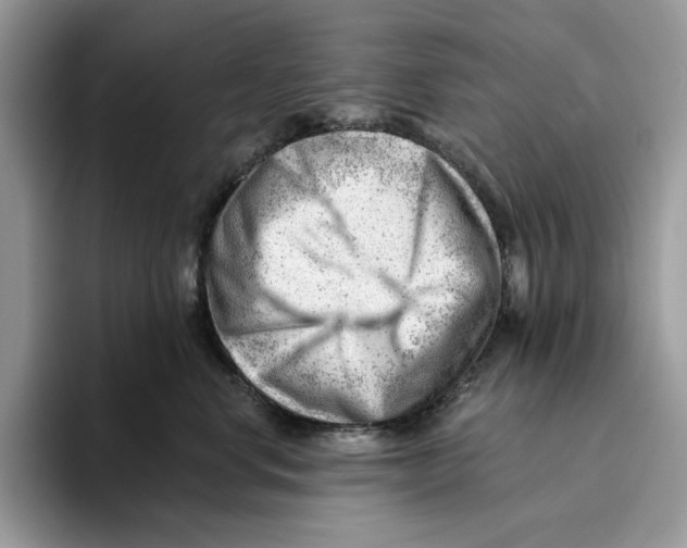 X0000093420668200711091418