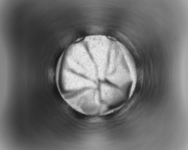 X0000093420669200711091418