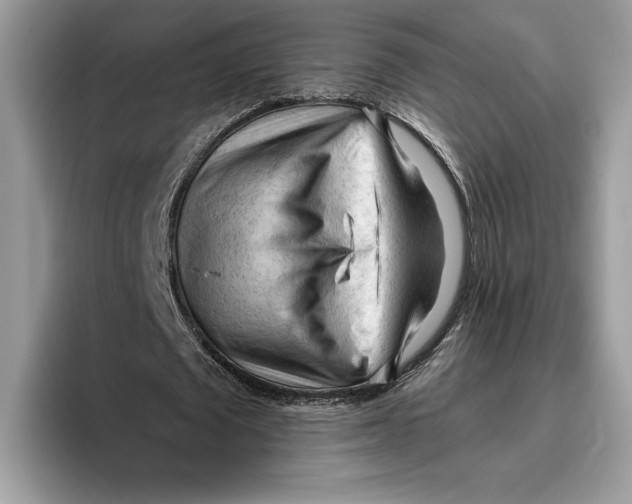 X0000093420673200711091418