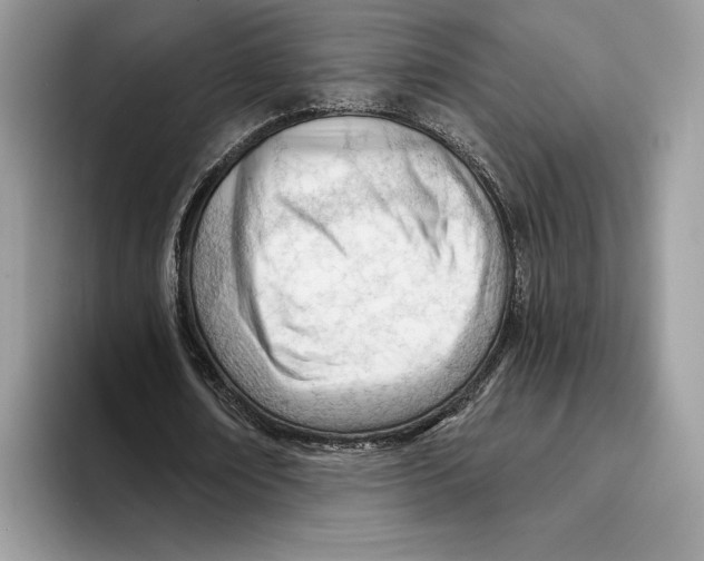 X0000093420674200711091418