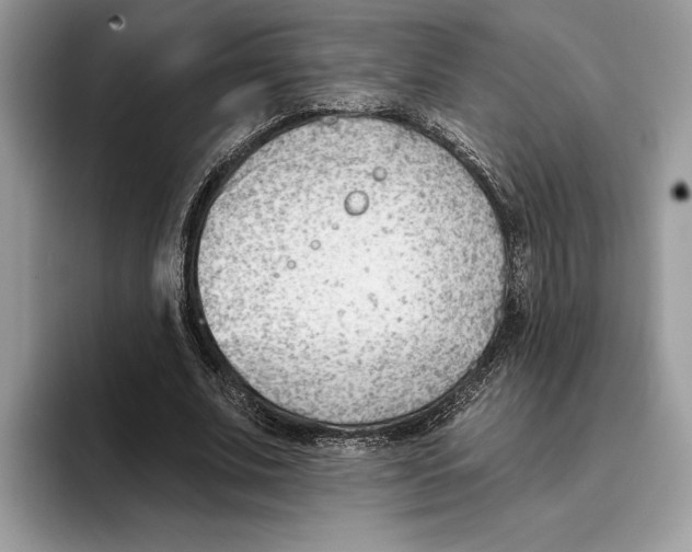 X0000093420679200711091418