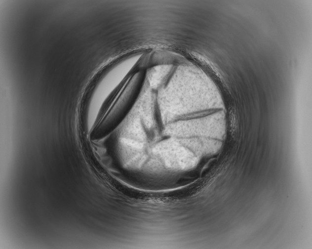 X0000093420684200711091418