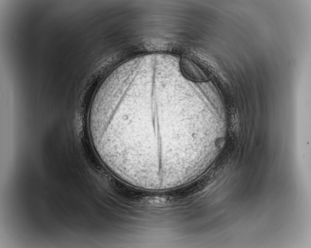 X0000093420687200711091417