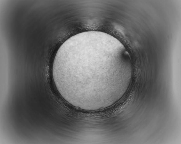 X0000093420689200711091417