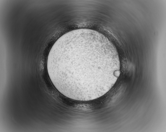 X0000093420691200711091417