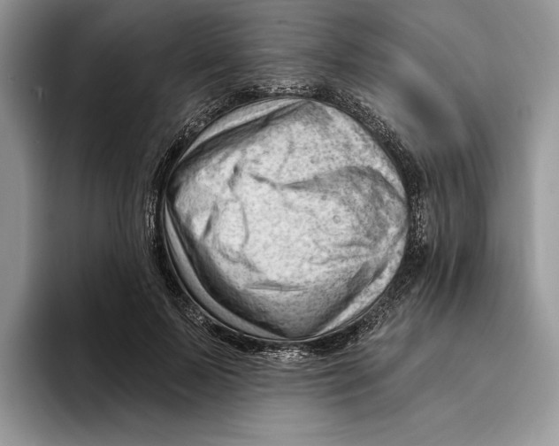 X0000093420695200711091417