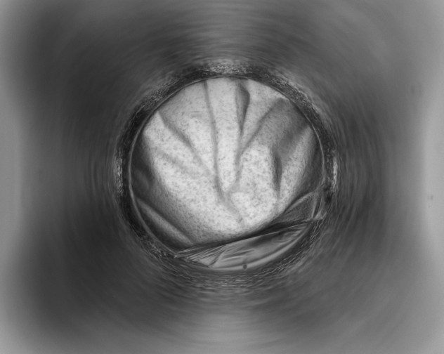 X0000093420696200711091417