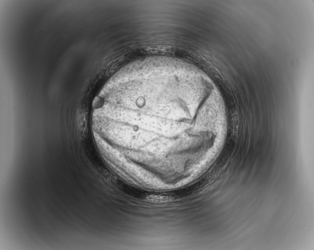 X0000093420699200711091417