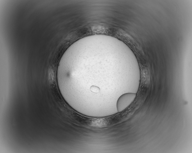 X0000093420705200711091417