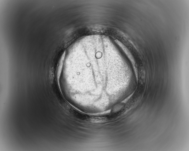 X0000093420707200711091417