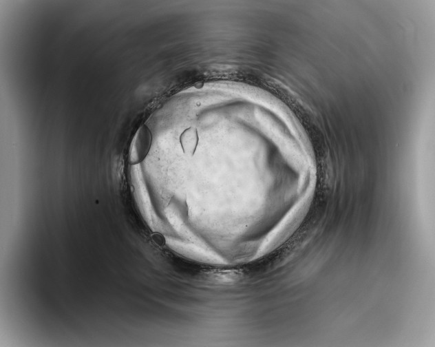 X0000093420711200711091417