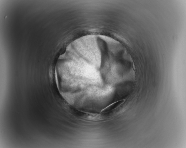 X0000093420720200711091417