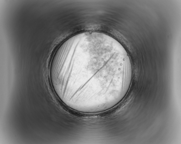 X0000093420721200711091417