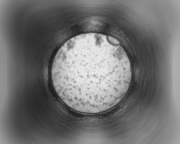 X0000093420729200711091417