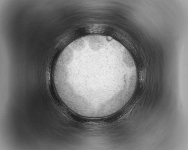 X0000093420733200711091417