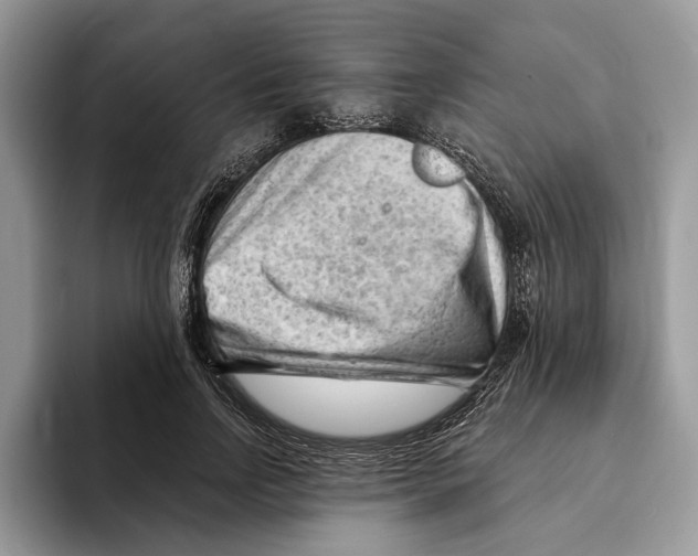 X0000093420742200711091417