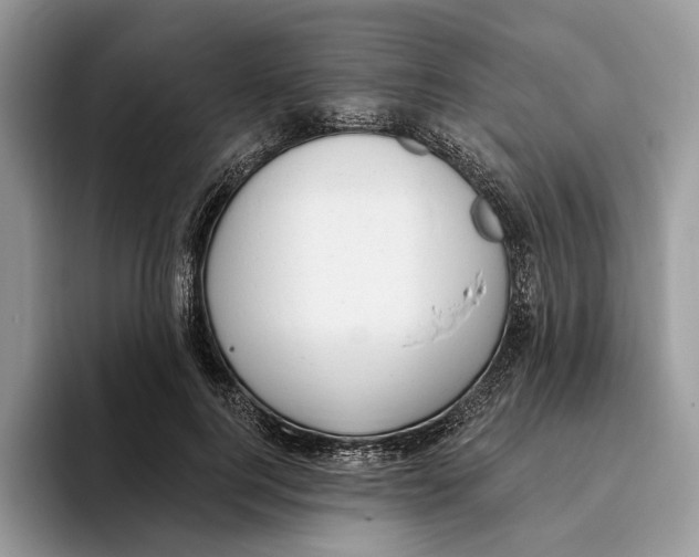 X0000093420744200711091417