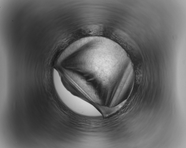 X0000093420748200711091417