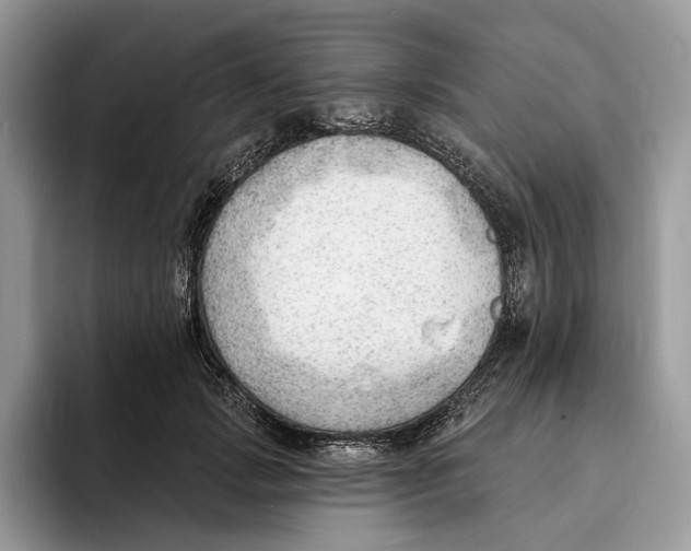 X0000093420749200711091417