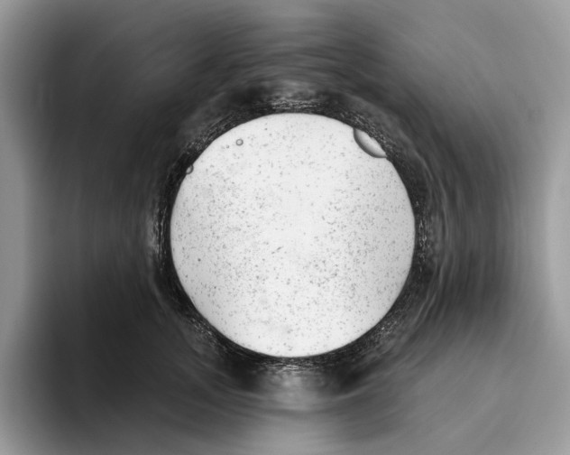 X0000093420755200711091417