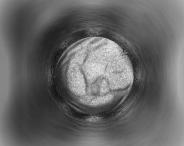 X0000093420759200711091417