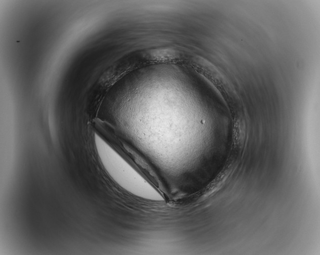 X0000093420762200711091417