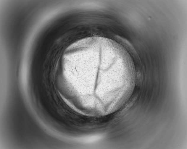 X0000093420765200711091417