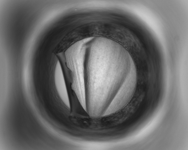 X0000093420766200711091417