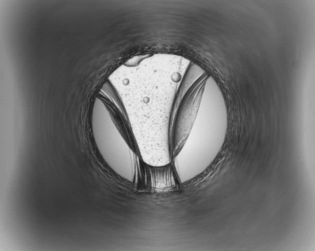 X0000093420769200711091417