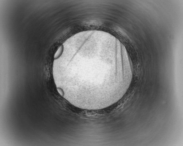 X0000093420774200711091416