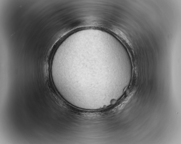 X0000093420781200711091416