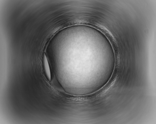 X0000093420785200711091416