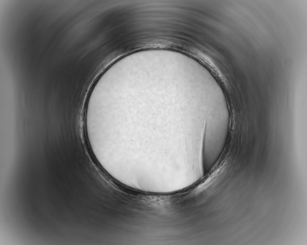 X0000093420802200711091416