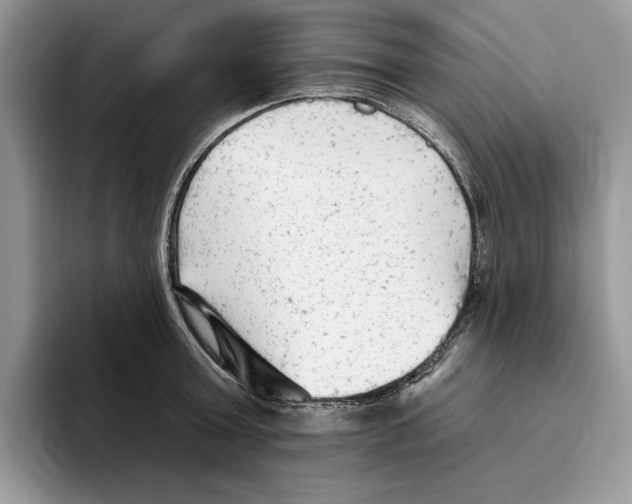 X0000093420803200711091416