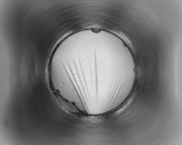 X0000093420806200711091416