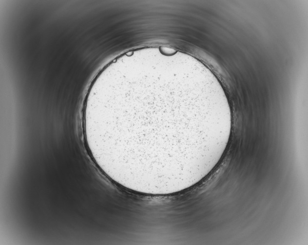 X0000093420808200711091416